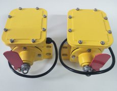 DB-100撕裂開關(guān)，皮帶撕裂保護BZL-220B防爆縱向撕裂保護裝置